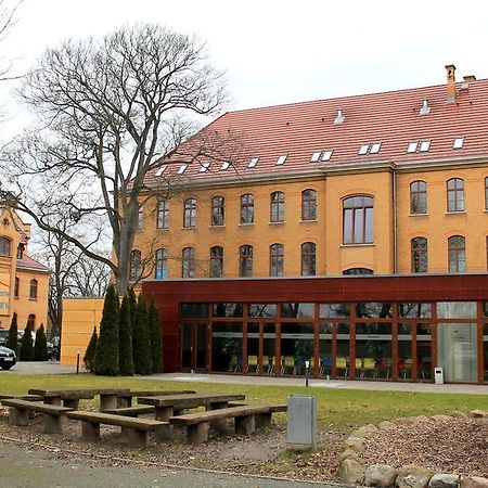Younior-Hotel Stralsund Buitenkant foto